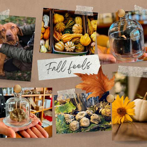 Our autumn