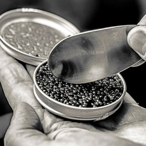 Carelian Caviar