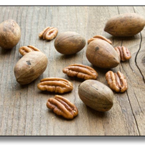 pecans-002.png