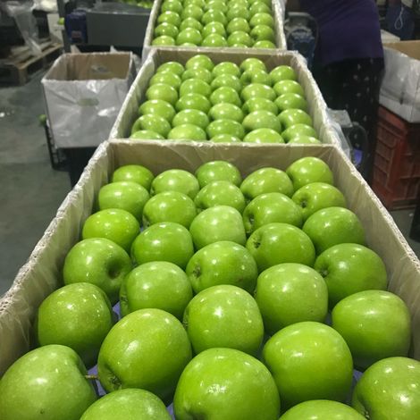 GRANNY SMITH