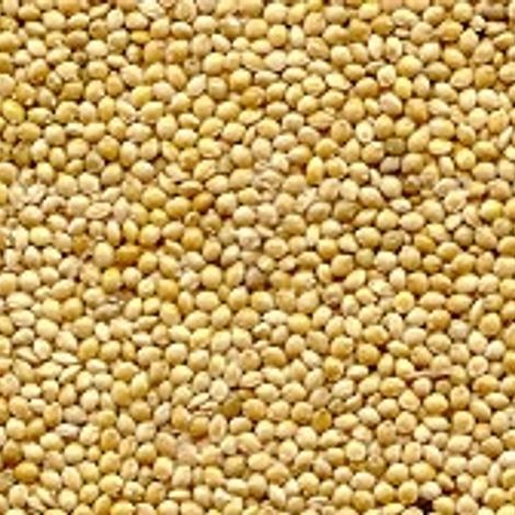 thumbs_clean-millet.jpg