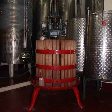 MMG Şarapçılık(vineyard)_Wine_Processing