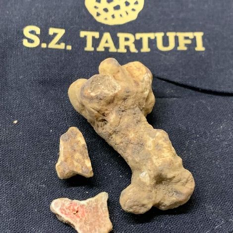 Fresh truffles