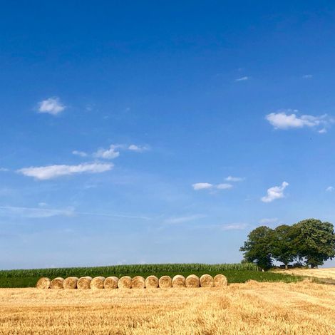 Augsburger Gebrüder AG - Plantation
