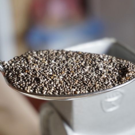Chia Growers SPR de RL