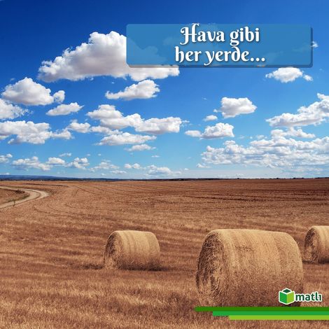 Matlı Yem Sanayi ve Ticaret A.Ş. - Field