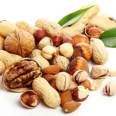 Edible Nuts