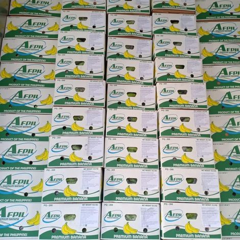 Agros Import Export International Corp._Banana_Cavendish