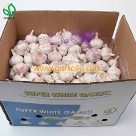 Jining Fenduni Foodstuff Co., Ltd.
