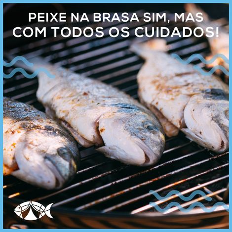 Luis Silverio e Filhos SA