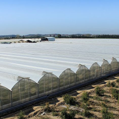 Eziz-Dag Tomato Production Space