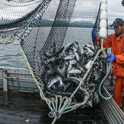 Sierra Gale Seafoods - Vessel