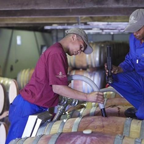 Winemaking