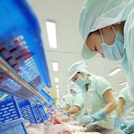 Truong Giang Fishery Holdings Corporation