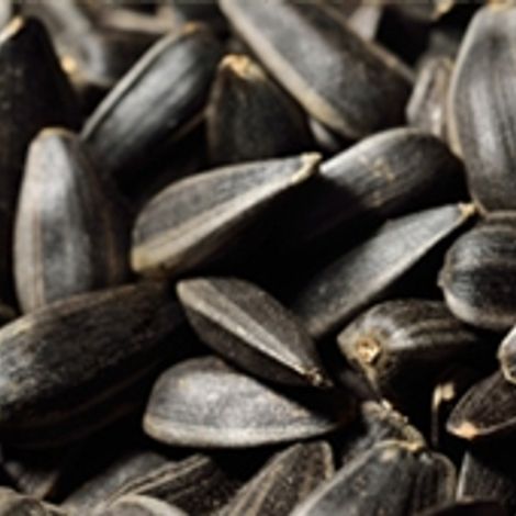 thumbs_black-oil-sunflower-seeds.jpg
