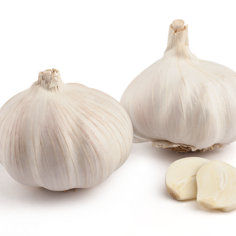 producto-grande-ajoblanco.png