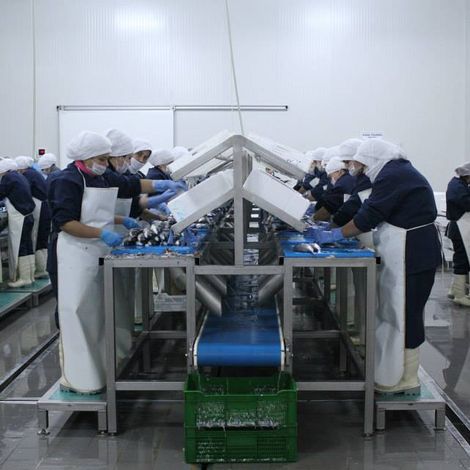 Production