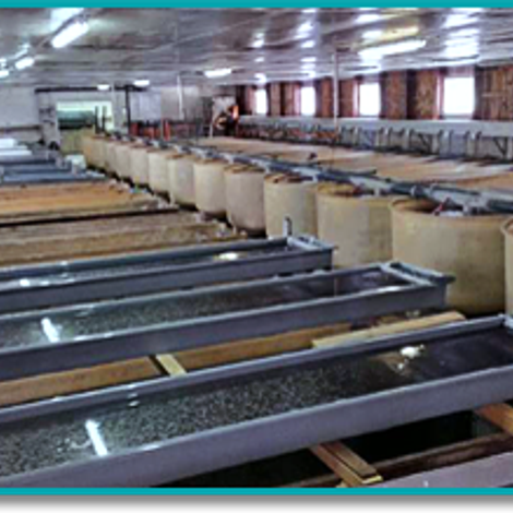 Themar Fischzuchtanlagen GmbH - Fish Farm