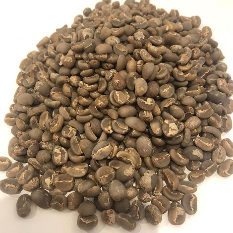 Gayo Coffee