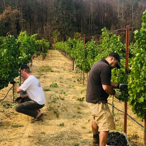 Keenan Winery_Wine_Vineyard