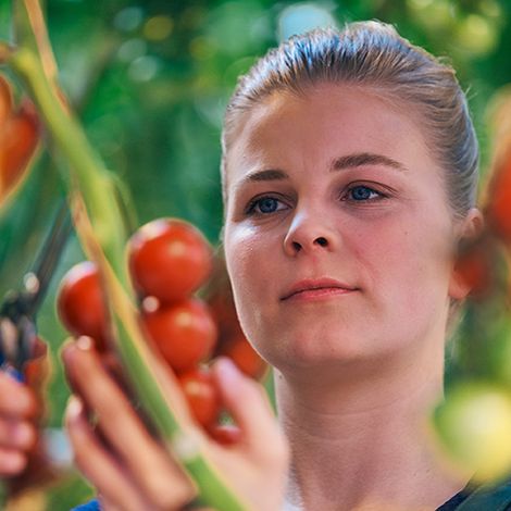 start_eigeneProduktion_web_656x473px.jpg