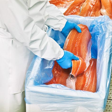 Skagerak Salmon