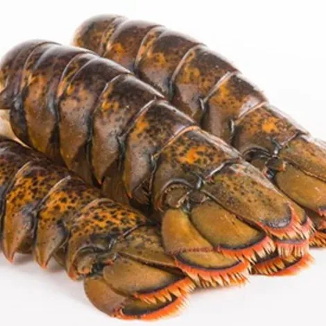 Boston Lobster Company