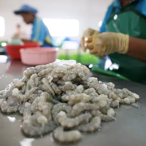 Moreno and Sons Company