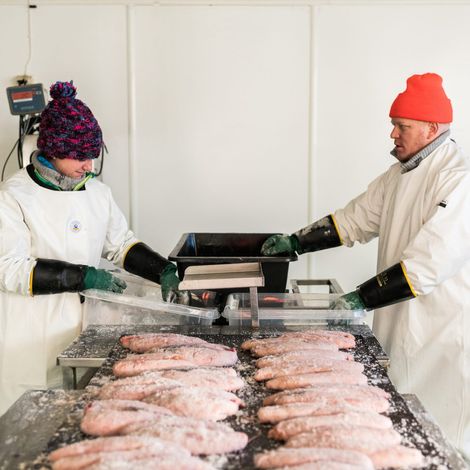Hrogn AS - Bottarga Borealis