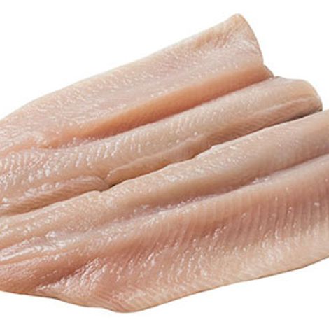 Clear Springs Foods, Inc.