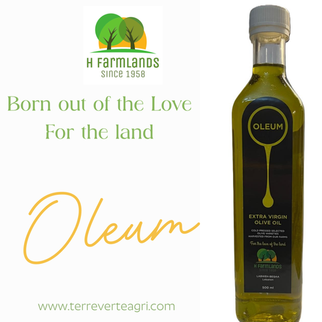 Oleum