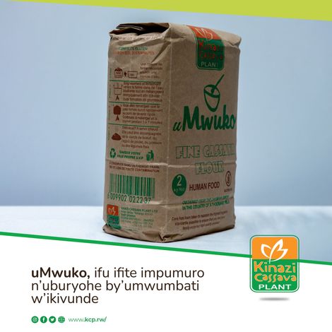 Kinazi Cassava Plant