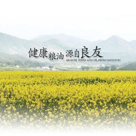 Shanghai Liangyou Group Co., Ltd.