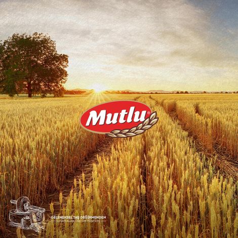 Mutlu Makarna - Plantation