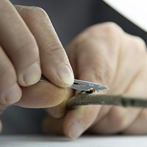 Exportadora Rancagua S.A.