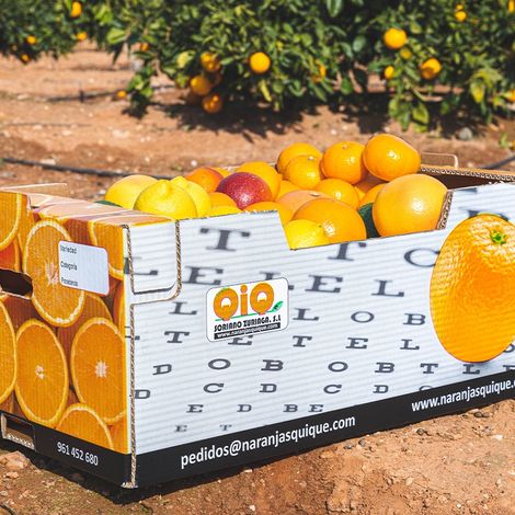 ORANGES ONLINE - NARANJAS QUIQUE - Products