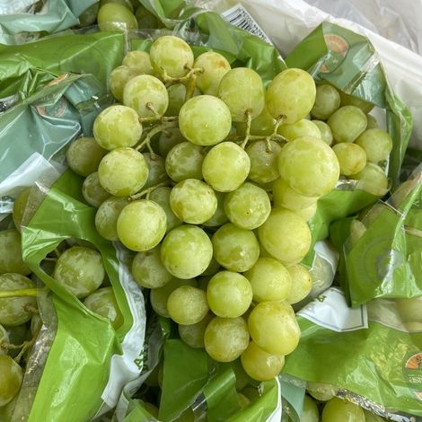 Phuc Linh Trading Development Company Limited - Grapes