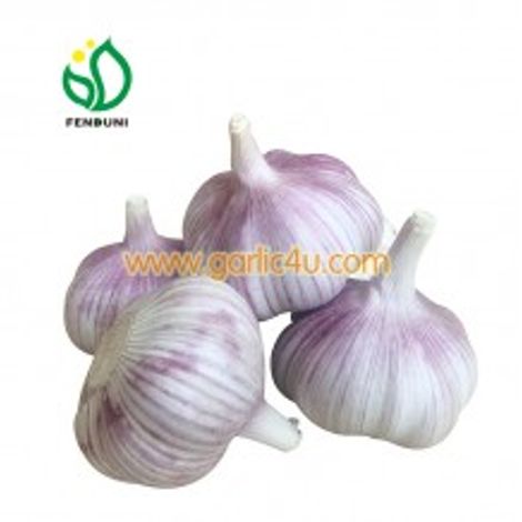 Jining Fenduni Foodstuff Co., Ltd.