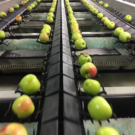 Production