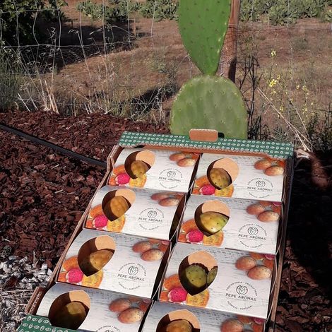 Prickly Pear - Figo da índia - Indian fig