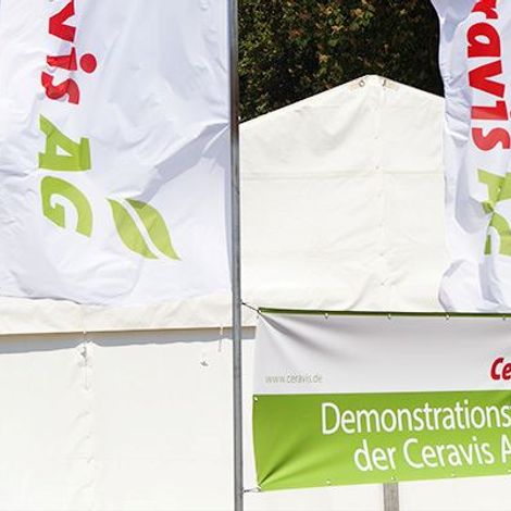 getimage-2.jpg