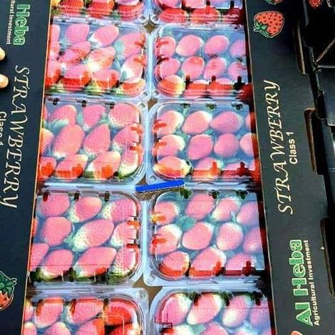 Fresh Strawberry