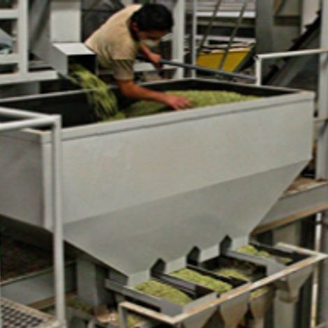 Royal Spices - Facility