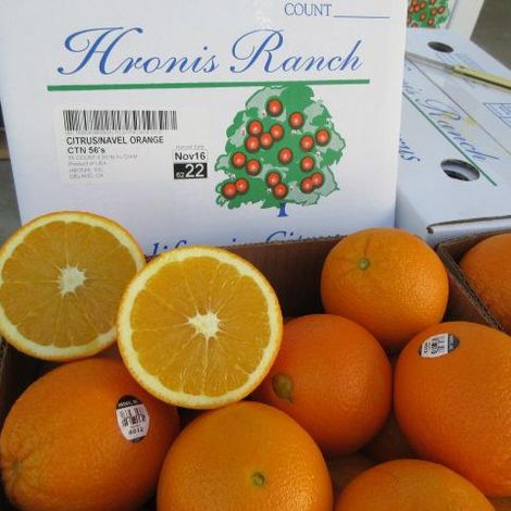 Hronis_Navel_56_Flesh