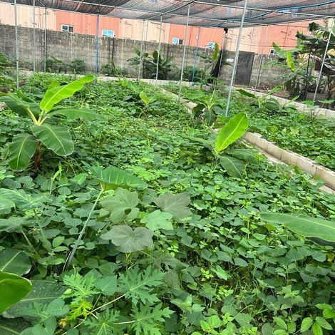 Production