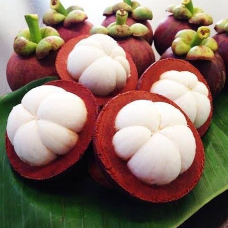 Mangosteen