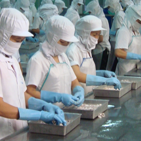 Ngoc Tung Co., Ltd
