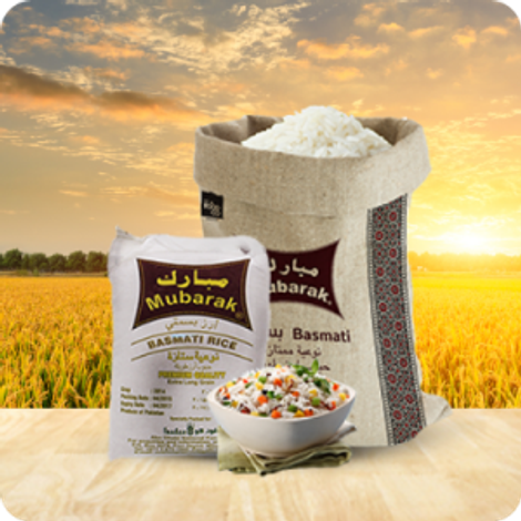 Mubarak-1-300x300.png