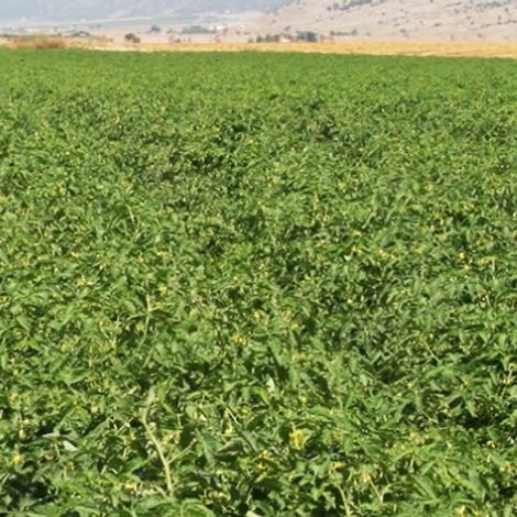 Screenshot 2023-04-13 084042.jpg