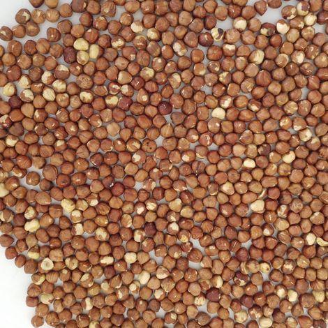 Bozbağ Hazelnut